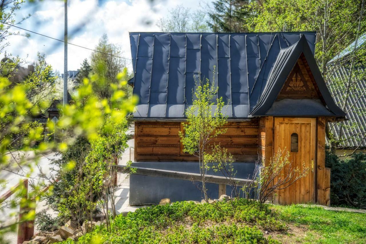 Apartamenty I Domki Taterka Косцелиско Экстерьер фото